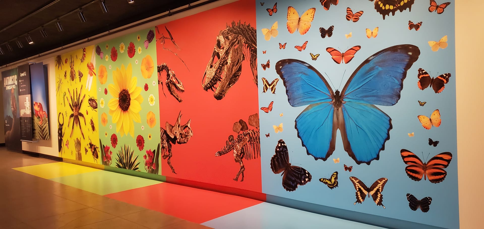 Environmental graphics in a museum or gallery space