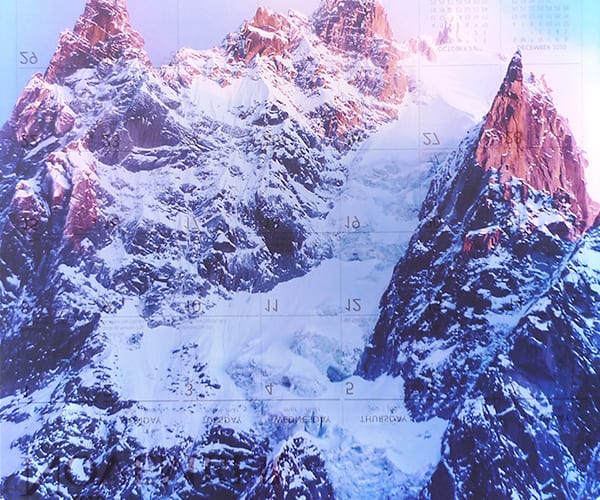 Mungo Thomson - Background Extinction en Galerie Frank Elbaz